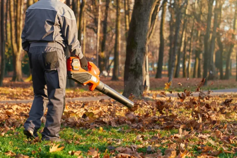 Servicio de jardinería